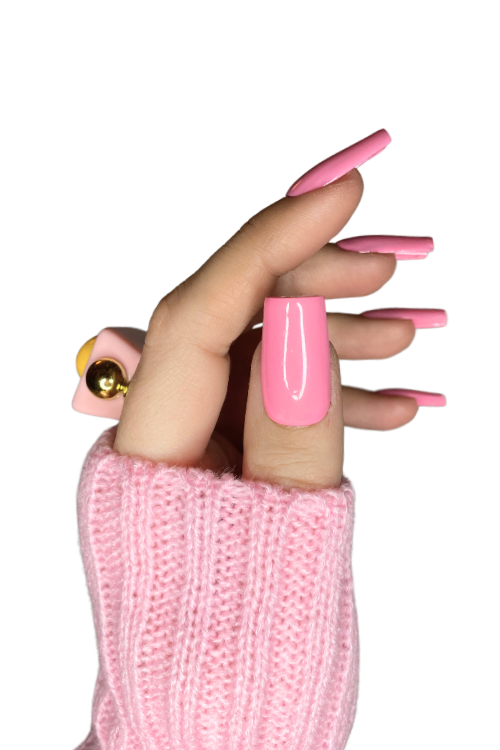Pink Carnation