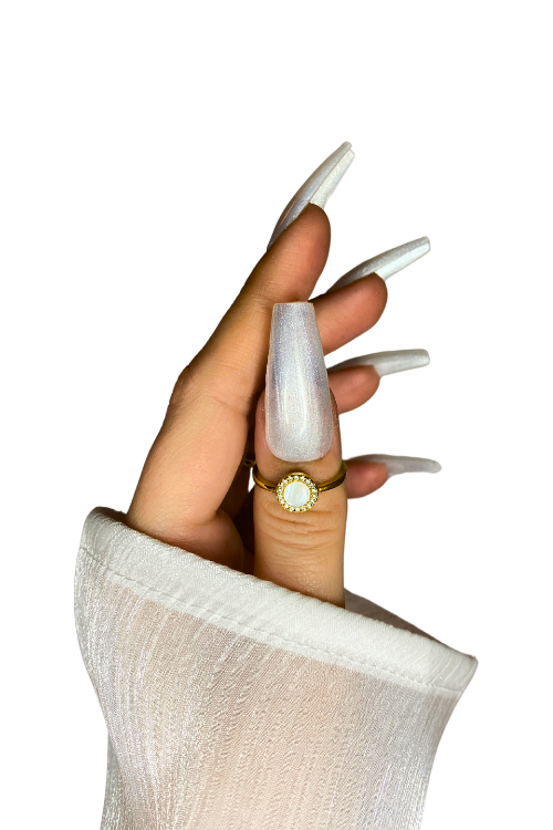 Swan