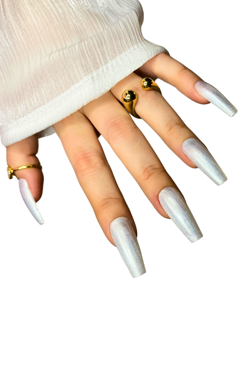 Swan