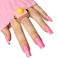 Pink Carnation