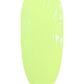 Elder Flower
