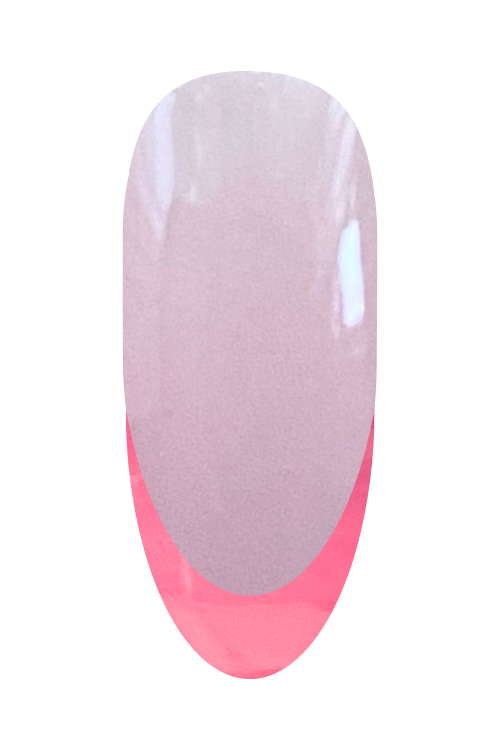 Pink Carnation